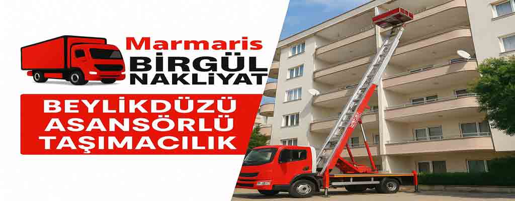 Beylikdüzü Evden Eve Nakliyat